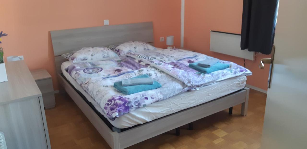 Terme Catez - Sonce Vila Catez ob Savi Exterior foto